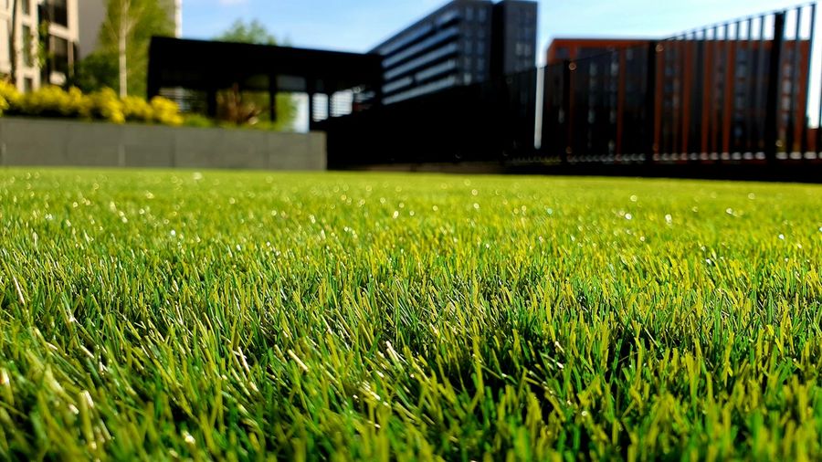 A cut lawn running up to a house and fence